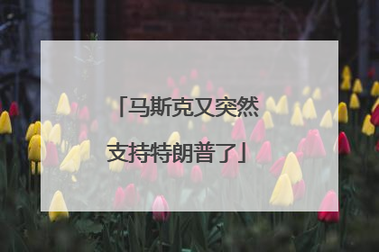 马斯克又突然支持特朗普了