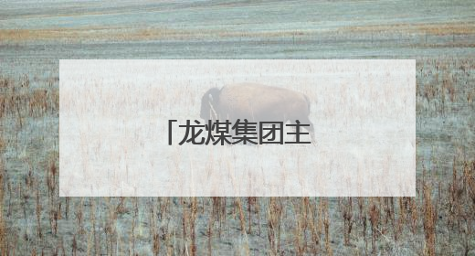 龙煤集团主要领导调整
