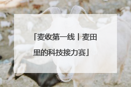 麦收第一线丨麦田里的科技接力赛