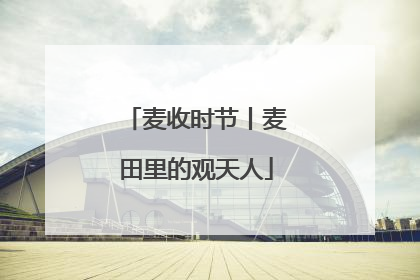 麦收时节丨麦田里的观天人