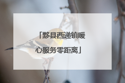黟县西递镇暖心服务零距离