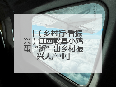（乡村行·看振兴）江西赣县小鸡蛋“孵”出乡村振兴大产业
