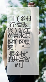 （乡村行·看振兴）浙江黄岩水源保护区蝶变：“一根金枝”的共富密码