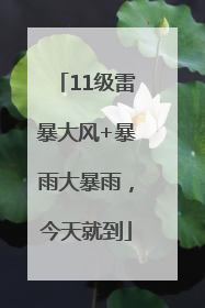 11级雷暴大风+暴雨大暴雨，今天就到