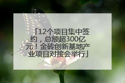 12个项目集中签约，总额超300亿元！金砖创新基地产业项目对接会举行