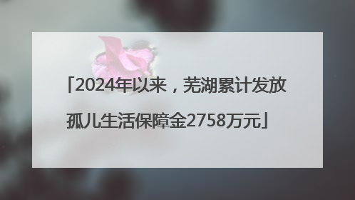 2024年以来，芜湖累计发放孤儿生活保障金2758万元