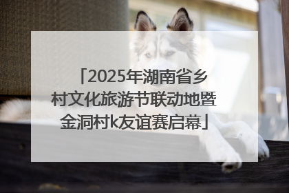 2025年湖南省乡村文化旅游节联动地暨金洞村k友谊赛启幕