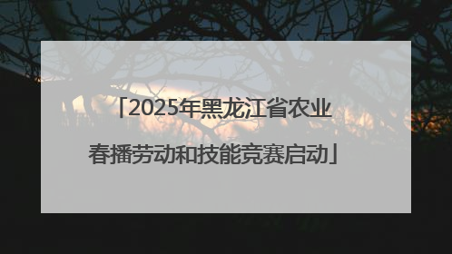 2025年黑龙江省农业春播劳动和技能竞赛启动