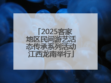 2025客家地区民间游艺活态传承系列活动江西龙南举行