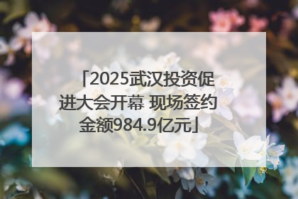 2025武汉投资促进大会开幕 现场签约金额984.9亿元