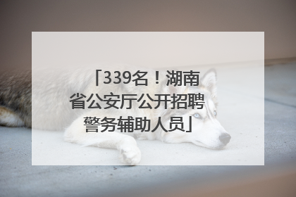 339名！湖南省公安厅公开招聘警务辅助人员