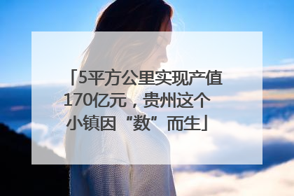 5平方公里实现产值170亿元，贵州这个小镇因“数”而生