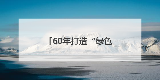 60年打造“绿色银行”：吉林通化红松林藏着致富密码