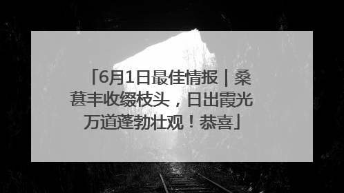 6月1日最佳情报｜桑葚丰收缀枝头，日出霞光万道蓬勃壮观！恭喜