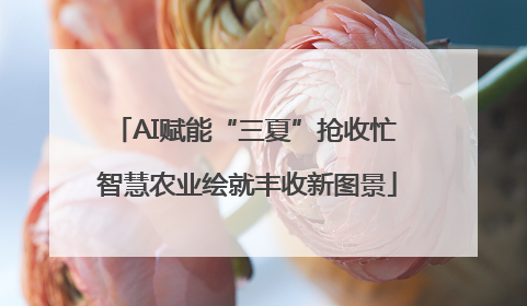 AI赋能“三夏”抢收忙 智慧农业绘就丰收新图景